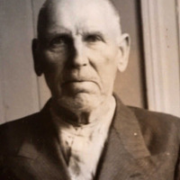 Aleksander EnggrönRedigera